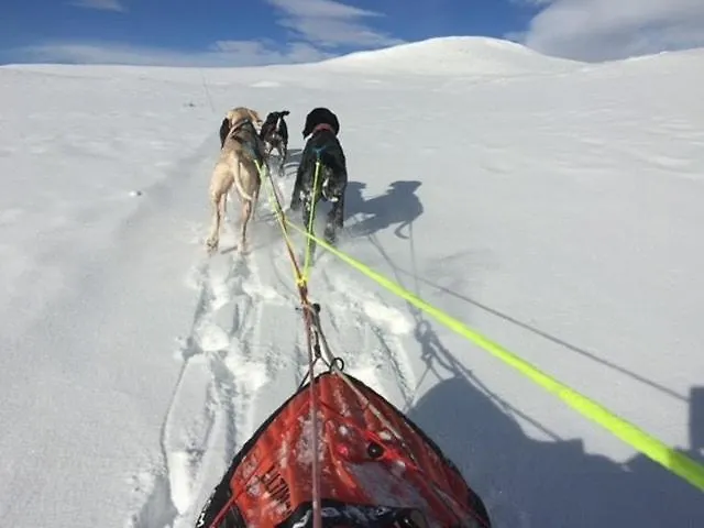 Historic Timber With Views Of Rondane * Furuhovde